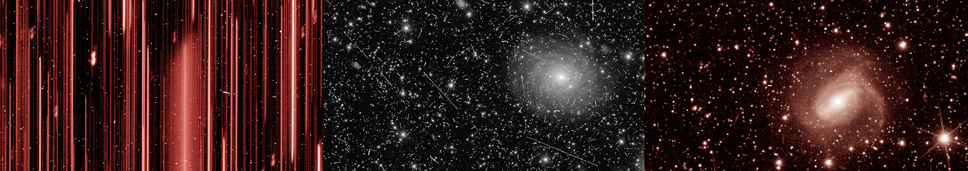 Euclid sees ‘First Light’