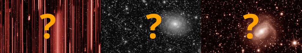 What’s in Euclid’s First Light images?